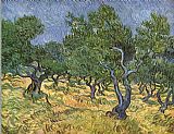 Olive Canvas Paintings - Olive grove I